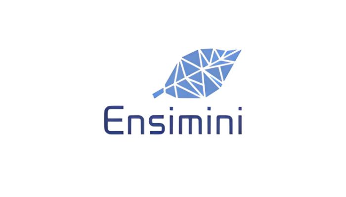 Ensimini Logo